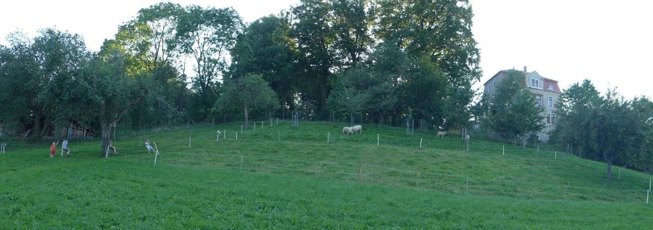 Ferienwohnung Aus-Zeit Auf Dem Lande Bad Gottleuba Dış mekan fotoğraf